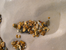 DSCN0829.JPG