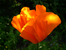 DSCN5806.JPG