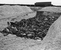 Belsen_3.jpg