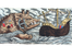 PHI_00359-4.jpg
